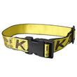 Durable Nylon Dog Collar & Leash Set – Fashion Gold Chain Lettered Design