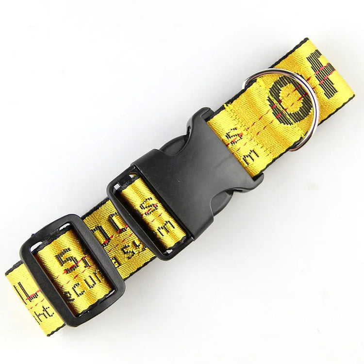 Durable Nylon Dog Collar & Leash Set – Fashion Gold Chain Lettered Design