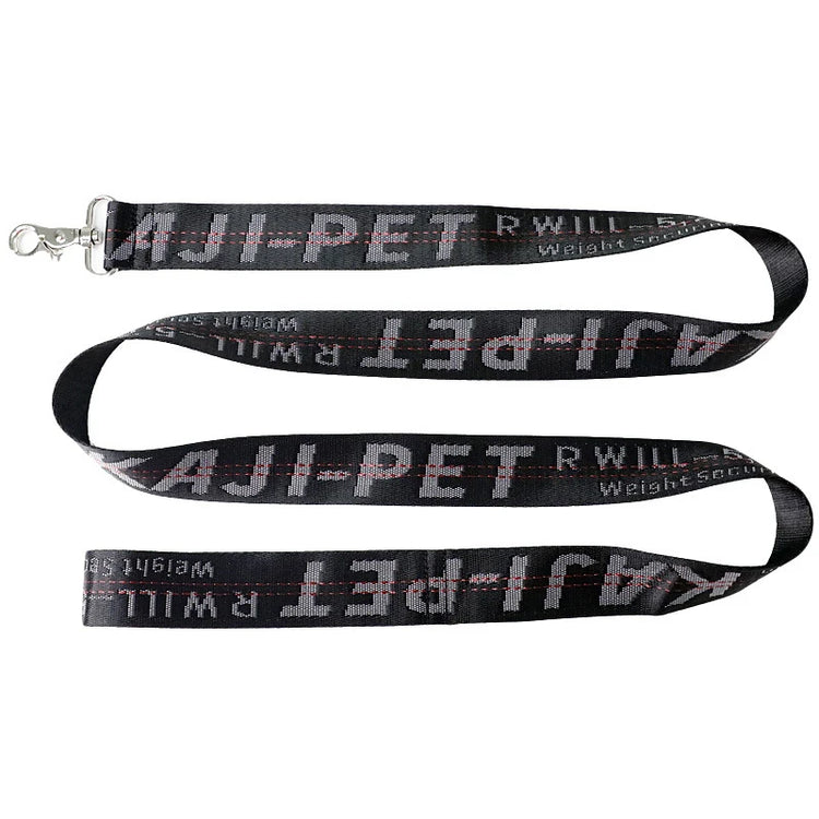 Durable Nylon Dog Collar & Leash Set – Fashion Gold Chain Lettered Design