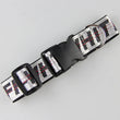 Durable Nylon Dog Collar & Leash Set – Fashion Gold Chain Lettered Design