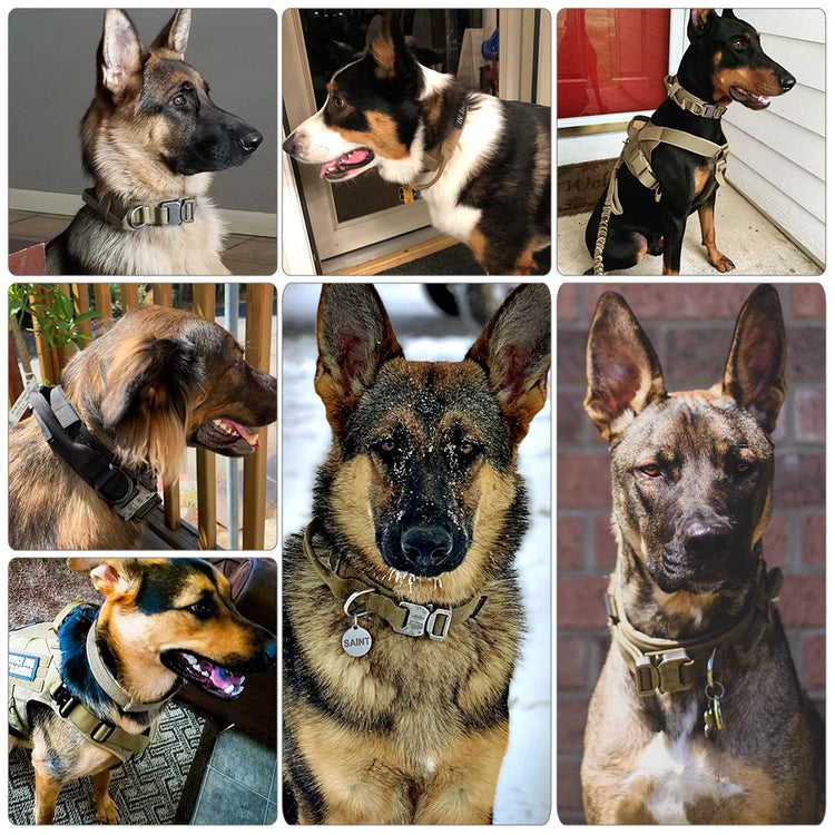 Durable Tactical Dog Collar With Padded Lining, Quick Release Buckle & Control Handle For Small To Large Dogs