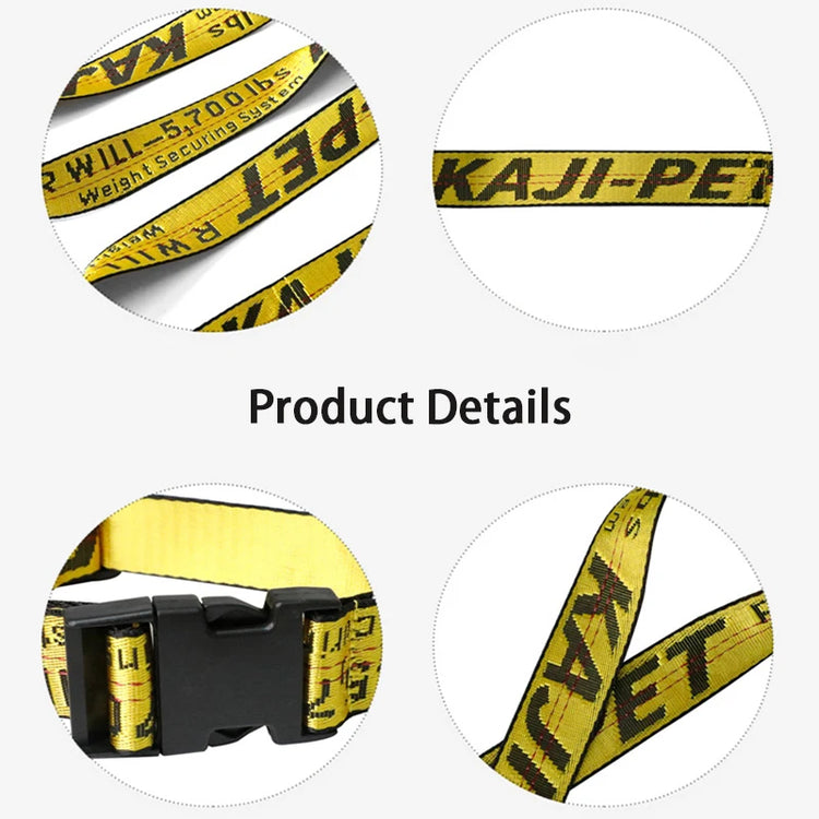Durable Nylon Dog Collar & Leash Set – Fashion Gold Chain Lettered Design