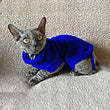 Unisex Cat Clothes | Cotton Vest Sweater in Solid Color | Kitty Coat for Spring/Autumn