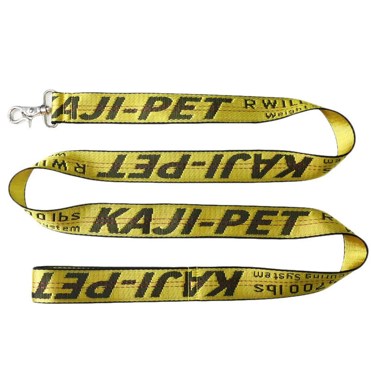 Durable Nylon Dog Collar & Leash Set – Fashion Gold Chain Lettered Design