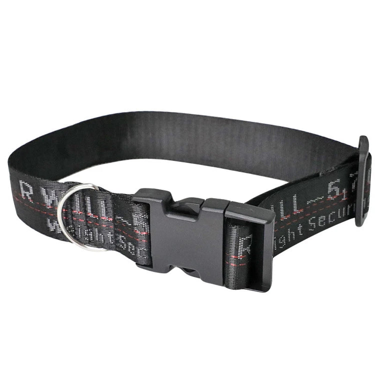 Durable Nylon Dog Collar & Leash Set – Fashion Gold Chain Lettered Design