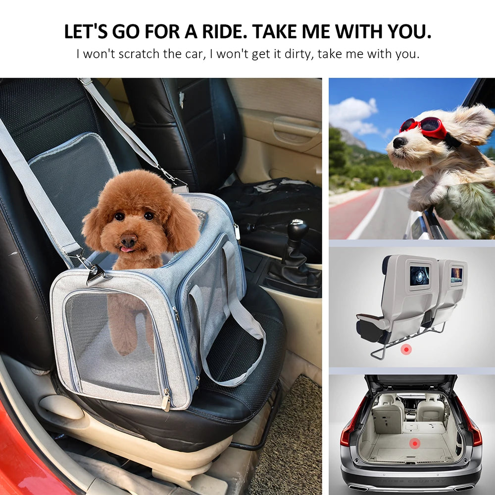Airline Approved Soft-Side Pet Carrier Bag for Small Dogs and Cats – Breathable, Lightweight Travel Backpack