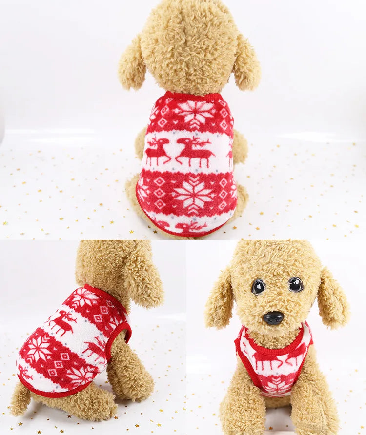 Warm Fleece Winter Clothes for Small Dogs & Cats | Soft Pet Jacket | For Chihuahua, Puppy & Kitten (XXS–XL)