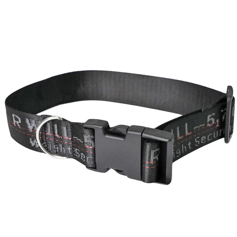 Durable Nylon Dog Collar & Leash Set – Fashion Gold Chain Lettered Design