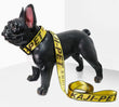 Durable Nylon Dog Collar & Leash Set – Fashion Gold Chain Lettered Design