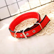 Adjustable Nylon Pet Collar with Traction Ring – Durable and Comfortable Dog Neck Strap