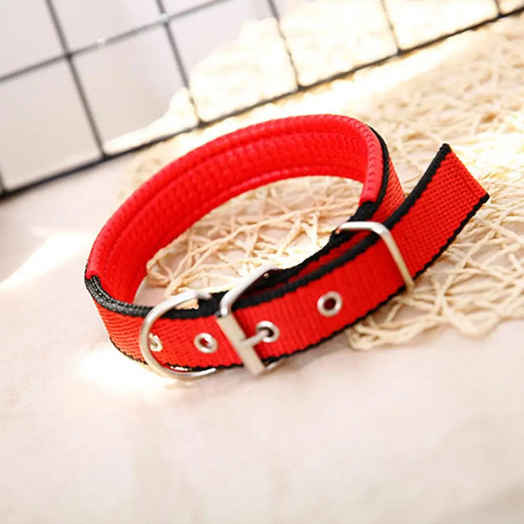 Adjustable Nylon Pet Collar with Traction Ring – Durable and Comfortable Dog Neck Strap