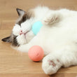 Smart Electronic Dog Toy Ball | USB Automatic Moving & Bouncing Pet Toy | Interactive Puppy Gift | Cat/Dog Products