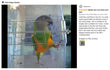 Bird Bath Shower   Bathtub Box  Large Hanging Clear Transparent  Cube   for Parrots  Cage Accessories Bowl