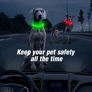 LED Luminous Dog Collar Light Rechargeable Flashing Safety Collar for Nighttime Walking