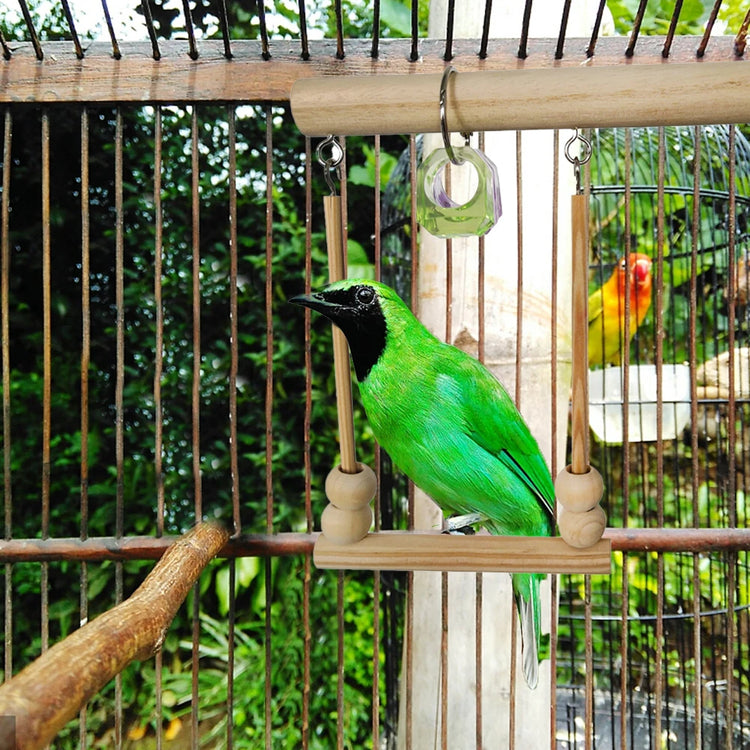 Bird Swing Toy | Wooden Parrot Perch Stand with Chewing Beads for Budgie Birds