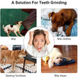 Durable Dog Chew Toy Ball – Bite-Resistant, Treat Dispensing & Teeth Cleaning Rubber Ball for Dogs and Cats
