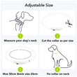 LED USB Rechargeable Dog Collar – Adjustable, Glowing Safety Collar for Pets