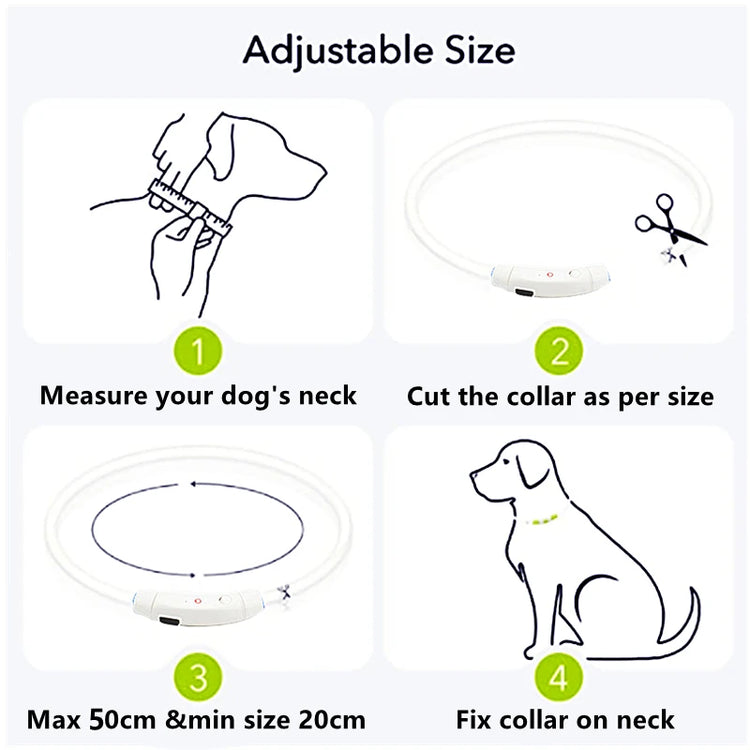 LED USB Rechargeable Dog Collar – Adjustable, Glowing Safety Collar for Pets