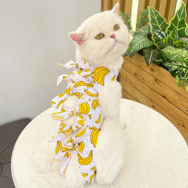 Cat Surgery Recovery Suit | Post-Op Onesie for Cats | E-Collar Alternative for Wound Protection