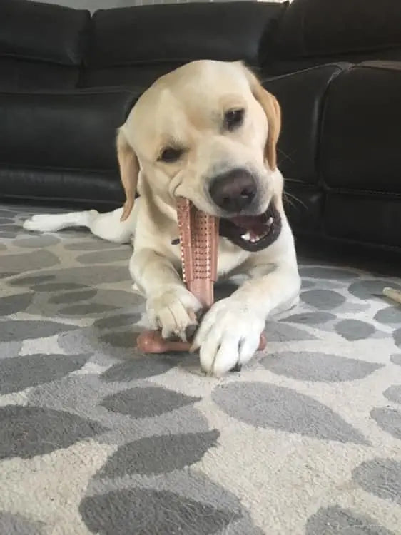 Durable Dog Chew Toy – Bamboo Fiber & Rubber for Teeth Cleaning