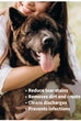 100pcs Pet Tear Stain Remover Wipes – Gentle Eye Area Cleaning Pads for Dogs & Cats