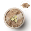 Natural Nesting Materials for Birds | 40g Jute, Raffia, Wool & Cotton Mix for DIY Nests & Small Animal Bedding | Safe Shelter for Cages & Homes