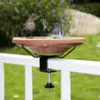 Wrought Iron Bird Bath & Feeder Bracket – Outdoor Tableware Garden Stand | Hummingbird-Friendly Decorative Bird Accessories