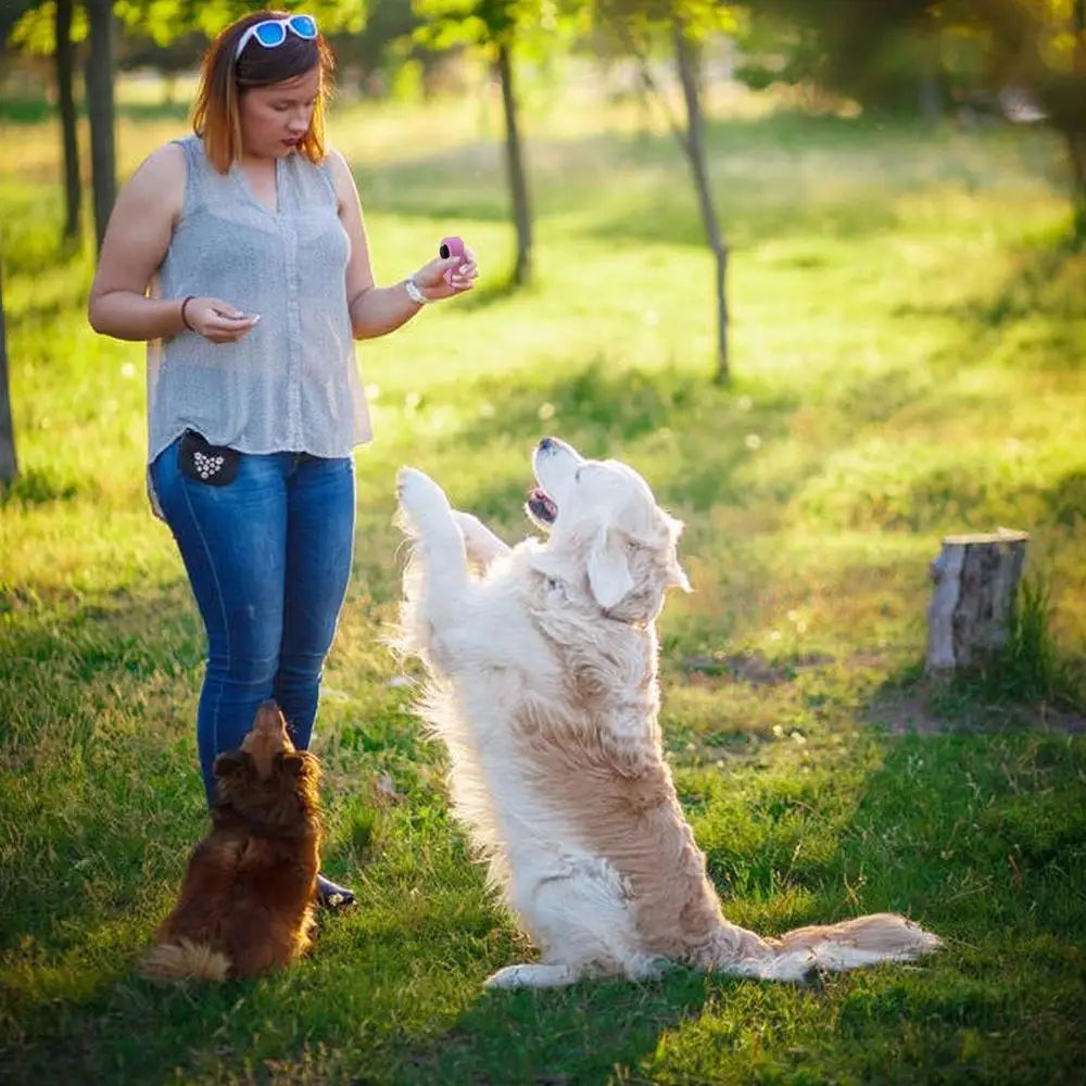 Dog Training Clicker with Wristband for Dogs, Cats & Horses Behavior Training