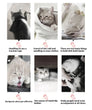 Airline Approved Soft-Sided Pet Carrier Backpack for Small Dogs and Cats