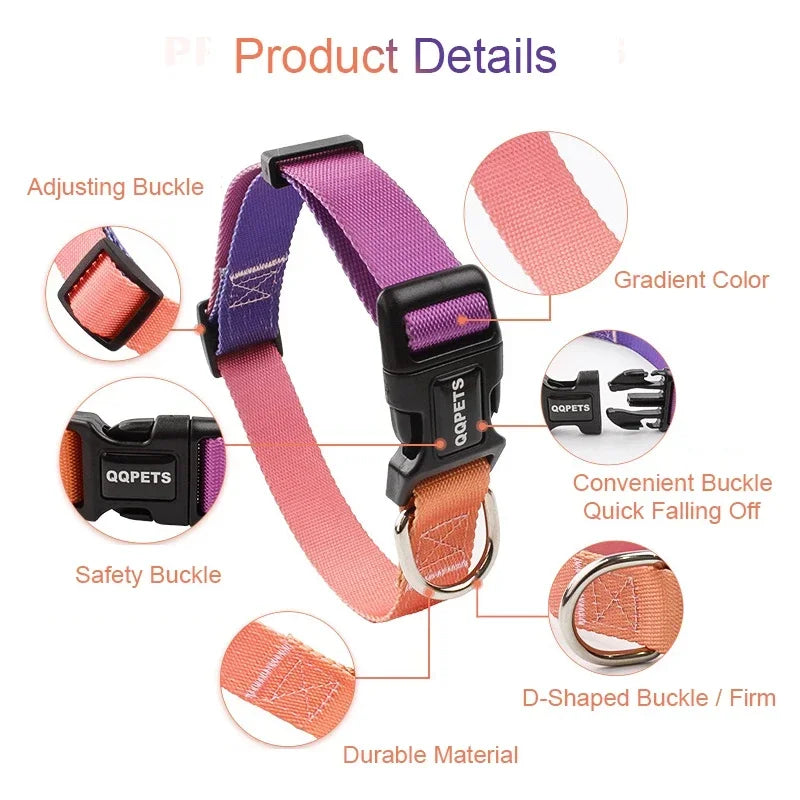 Adjustable Dog Collar & Leash Set – Personalized Nylon Traction Lead for Small to Large Dogs