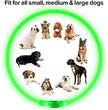 LED Luminous Dog Collar Light Rechargeable Flashing Safety Collar for Nighttime Walking