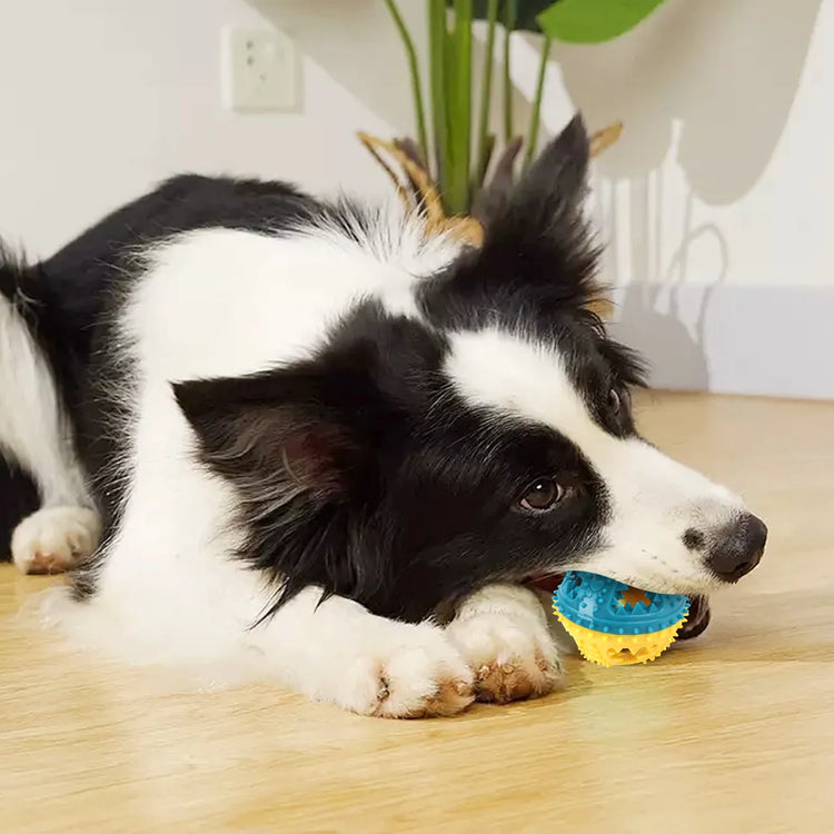 COOLPLAY Dog Chew Toy – Interactive Teeth Cleaning Sound Ball with Treat Dispensing