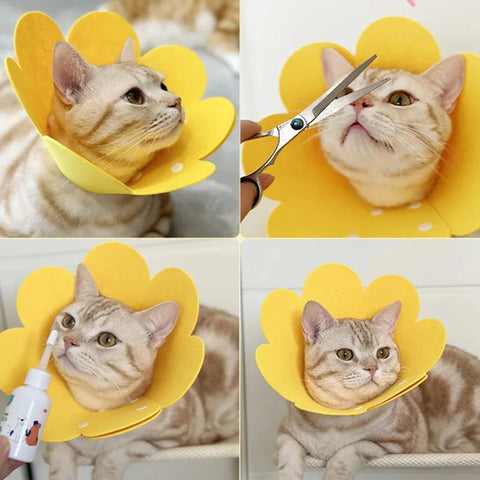 Pet Recovery Collar | Protective Cone for Cats & Dogs | Anti-Bite Lick Wound Healing | Soft Felt E-Collar | Post-Surgery Neck Cone