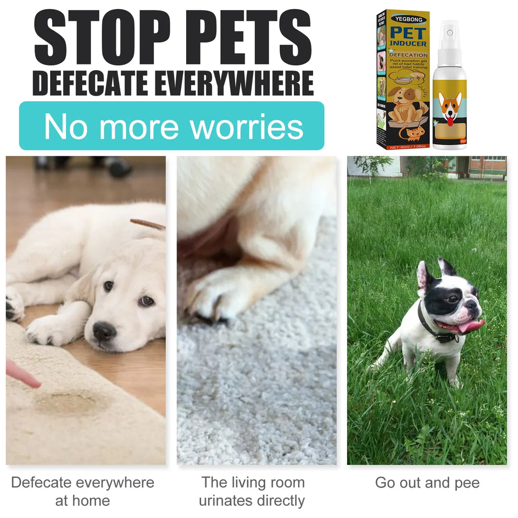 Dog & Cat Potty Training Spray – Pet Toilet Training Aid for Puppies, Kittens & Indoor/Outdoor Use