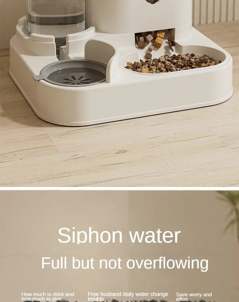 Automatic Pet Feeder with Water Dispenser | 2-in-1 Food & Water Station | For Cats & Small Dogs