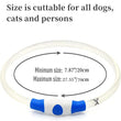 LED Luminous Dog Collar USB Charging Flashing Glowing Safety Anti-Lost Collar for Cats and Dogs          Ask ChatGPT