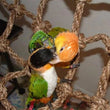 40*40cm Parrot Climbing Net | Bird Toy Swing Rope Net | Bird Stand Hammock with Hook | Hanging Chewing Biting Toy for Parrots