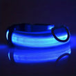 LED Light-Up Dog Collar – High Visibility Safety Collar for Night Walks (Battery Powered)