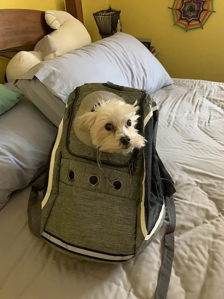 Portable Breathable Dog & Cat Carrier Backpack – Travel Pet Bag with Mesh Window and Adjustable Straps