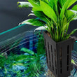 Fish Tank Hydroponic Plant Basket Household Water Grass Planting Wall-Mounted Plant Planting Basket Fish Tank Landscaping Decor