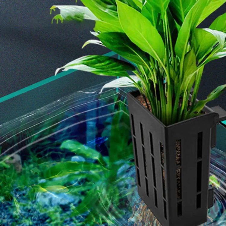 Fish Tank Hydroponic Plant Basket Household Water Grass Planting Wall-Mounted Plant Planting Basket Fish Tank Landscaping Decor