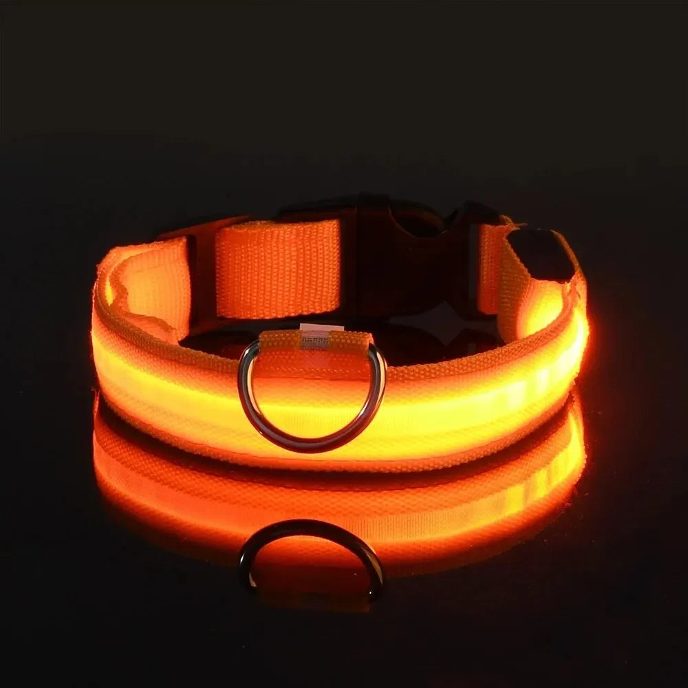 LED Light-Up Dog Collar – High Visibility Safety Collar for Night Walks (Battery Powered)