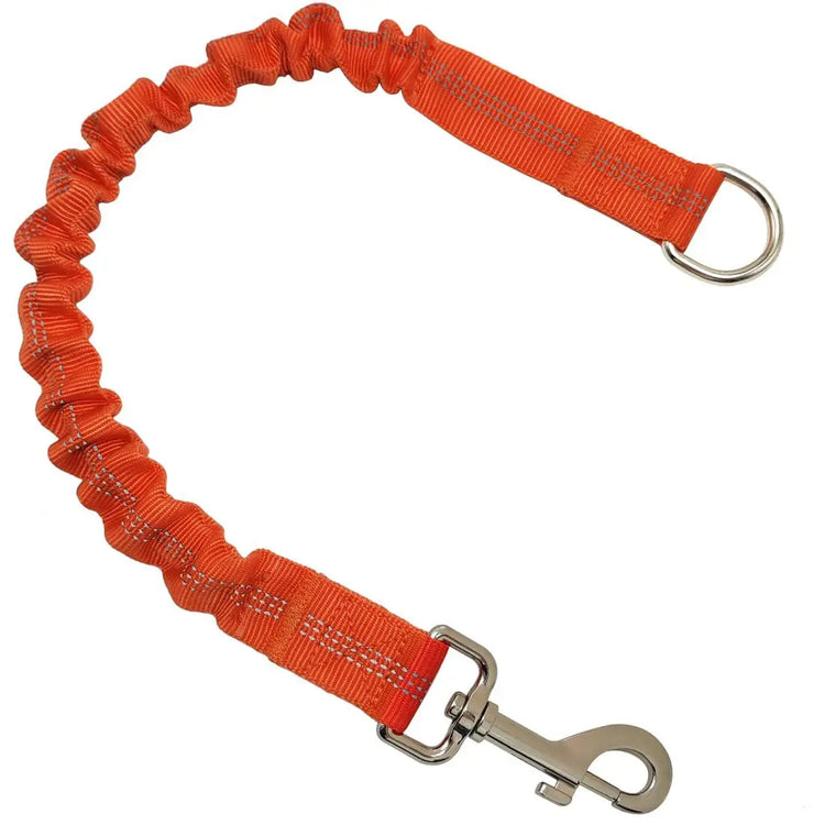 Shock Absorber Dog Leash – Heavy-Duty Elastic Bungee Training Lead for Medium Dogs