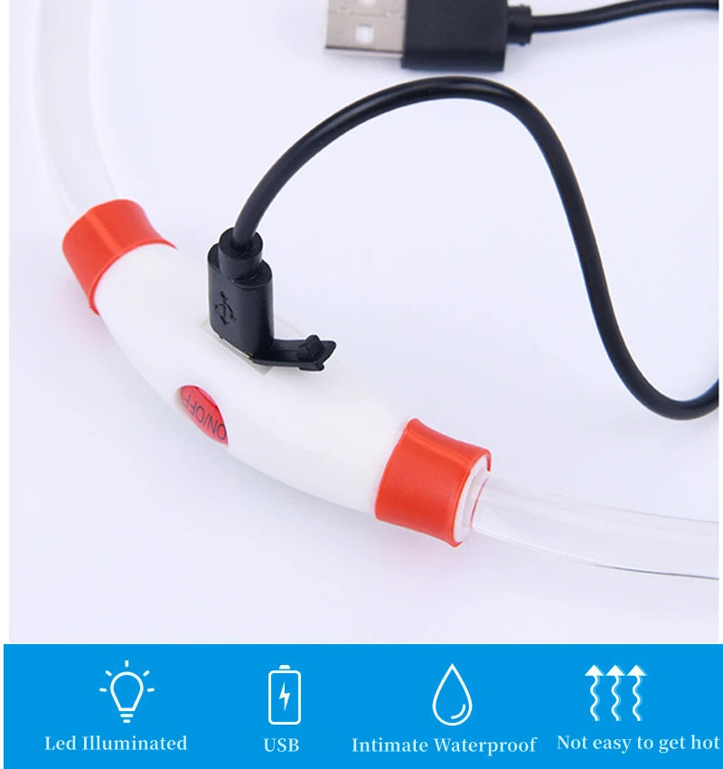 LED Luminous Dog Collar USB Charging Flashing Glowing Safety Anti-Lost Collar for Cats and Dogs          Ask ChatGPT