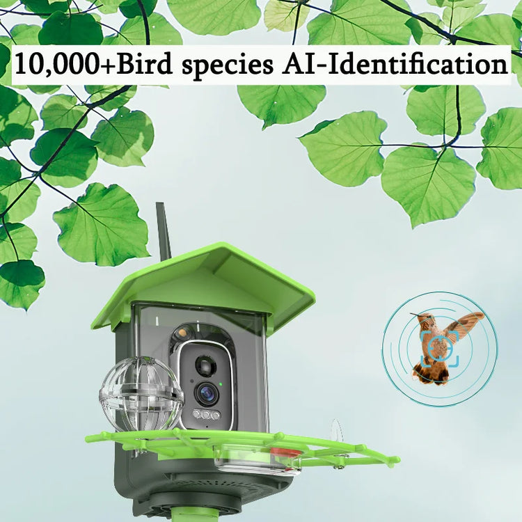 Bird Feeder Camera | 4MP 2K HD Bird Video Capture | Solar Powered WiFi Camera Feeder | Smart Birdwatching Device with Alerts | Outdoor Bird Observation Tool