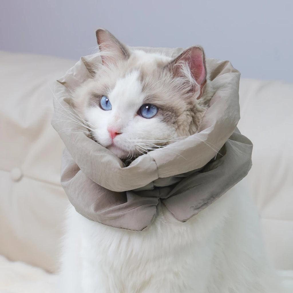 Colorful Warm Cat Collar| Waterproof Scarf Style | Anti-Lick & Bite Protective Collar for Post-Surgery | Stylish Recovery for Cats
