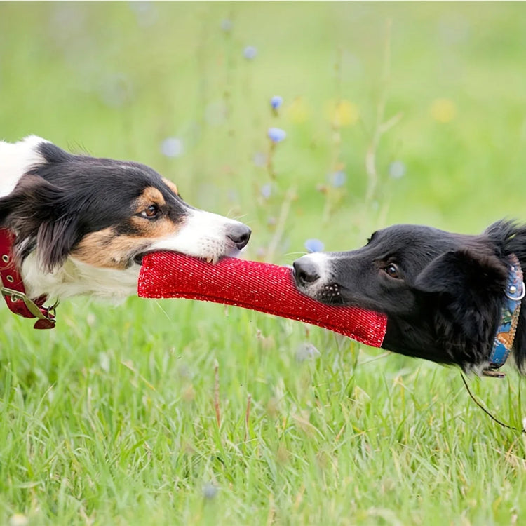 Dog Training Bite Stick – Double Handle Jute Tug Toy for Interactive Play & Training