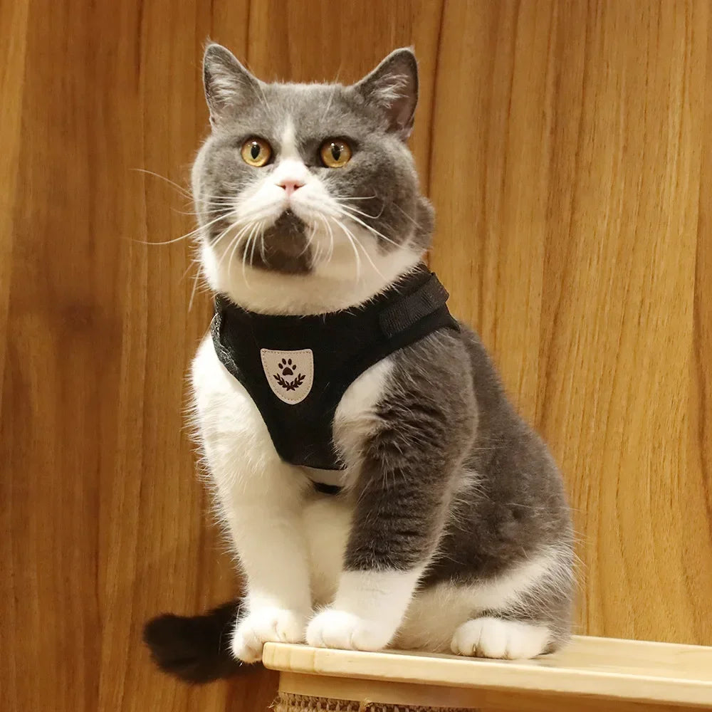 Cat Harness | Lead Leash Set | Adjustable Reflective Escape Proof Pet Mesh Vest Harness | Puppy Dog Collar | Small Dog Cat Pet Supplies