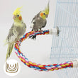 Bird Molar Toy | Durable Bendable Cotton Rope | Multi-color Parrot Standing Perch for Cockatiel | Parrot Cage Bird Toy