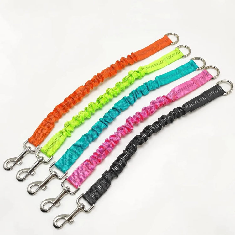 Shock Absorber Dog Leash – Heavy-Duty Elastic Bungee Training Lead for Medium Dogs